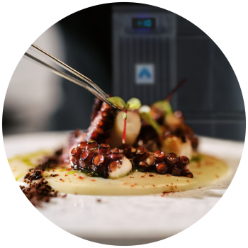 adande and food octopus v2 circle 2